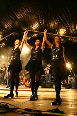 Meet the Fairies - Samonios 2008